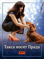 Фильм: Лапы в городе