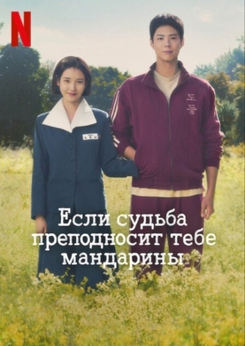 Если судьба преподносит тебе мандарины (2025 – 2025)