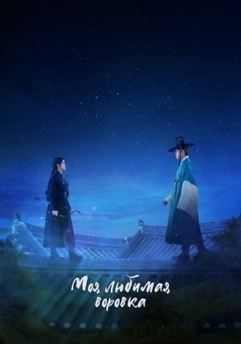 Моя любимая воровка (2026 – ...)